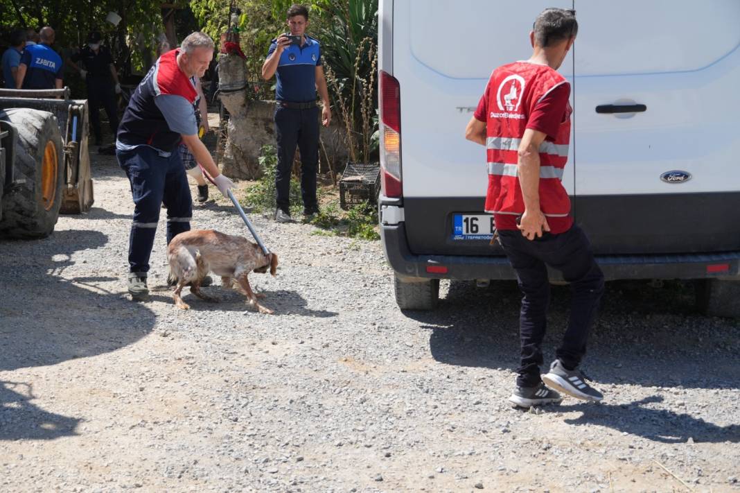 Gören gözlerine inanamadı! Bu evden tam 42 kamyon çöp çıktı… 3